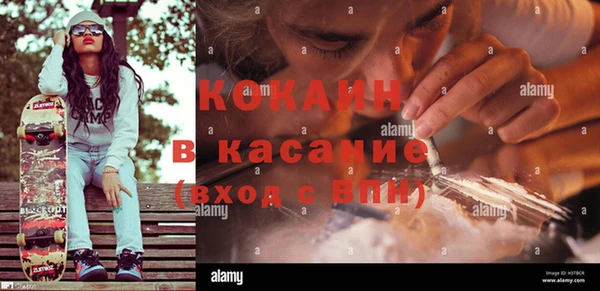 соль ск Вяземский
