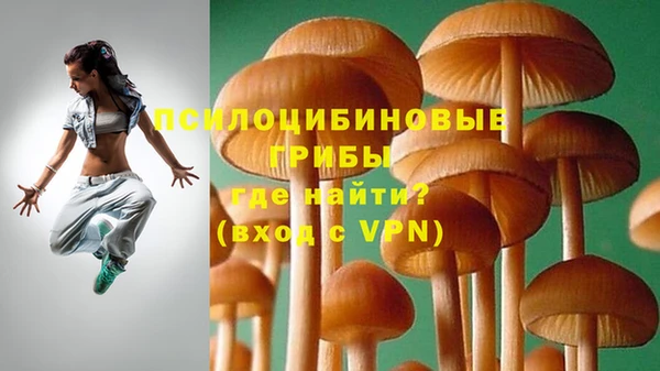 соль ск Вяземский
