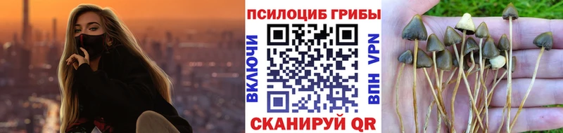 Псилоцибиновые грибы GOLDEN TEACHER  блэк спрут как зайти  Улан-Удэ 